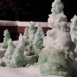 Meet your Posher, Alisha